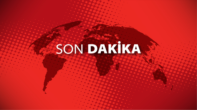 Sokak hayvanları düzenlemesi Meclis'ten geçti