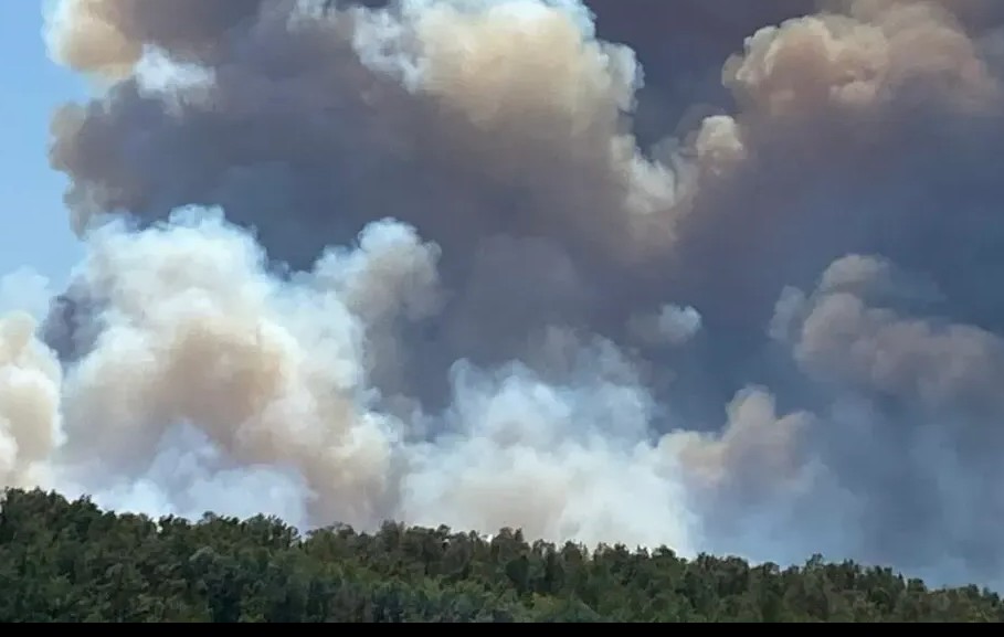 Karamürsel'de yangın... Köy boşaltılıyor