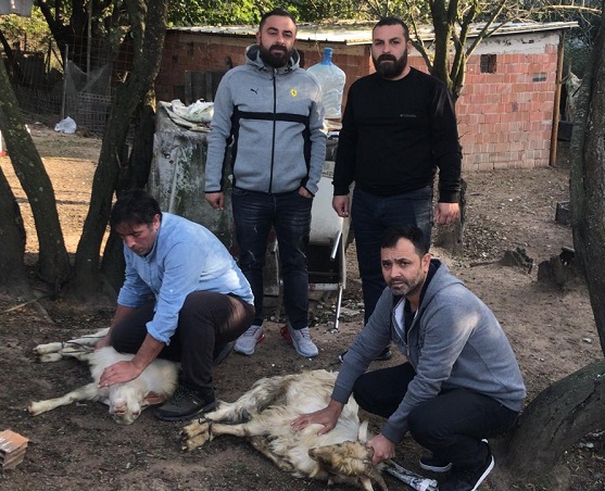 Şehit Yakını askerler için kurban kestiler