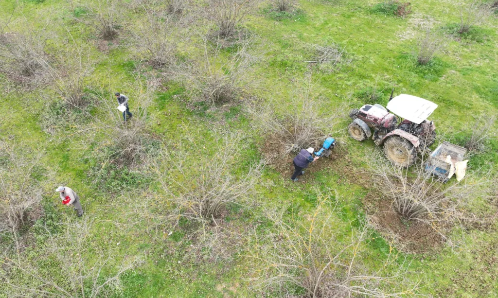 Kocaeli çiftçisi Büyükşehir’in gübre desteğiyle sevindi