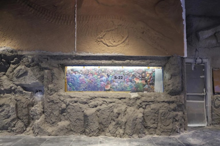 Kocaeli’de 30 farklı akvaryumla su altı dünyası