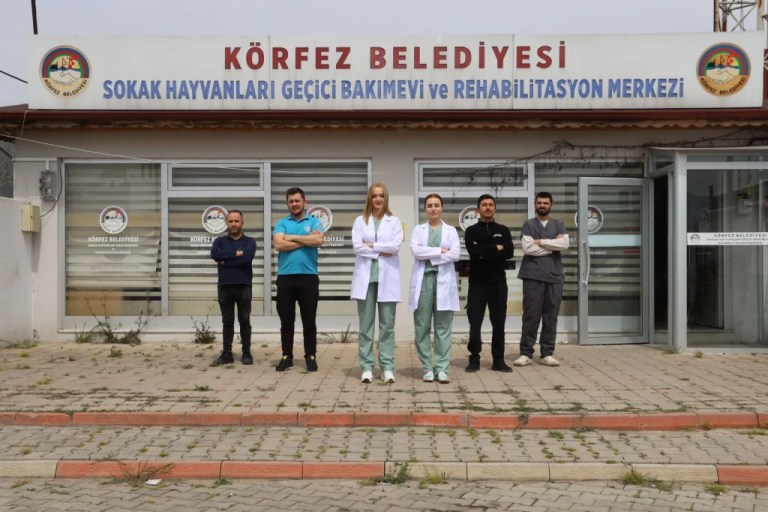 Körfez’de ‘Kral’ isimli kedi hayata tutundu