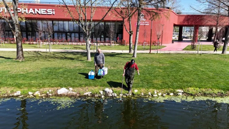 İzmit Millet Bahçesi göletinde ekosistem çalışması