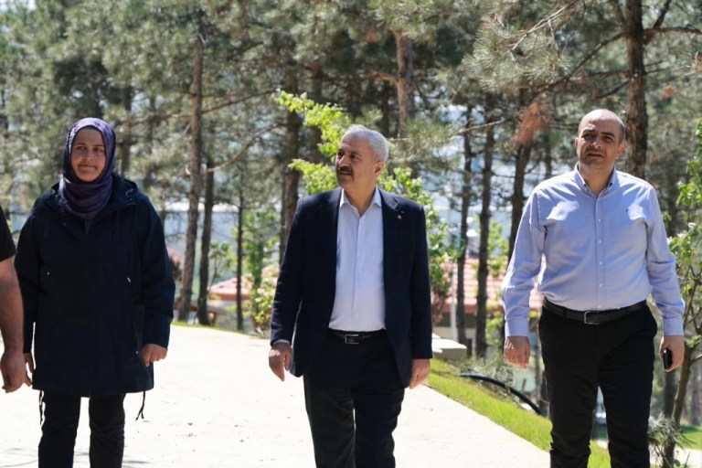 Gebze’nin Yeni Nefesi: Pelitli Mesire Alanı’nda İnceleme