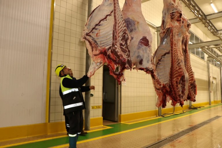 Sakatatlar kist hidatik riski taşıyor